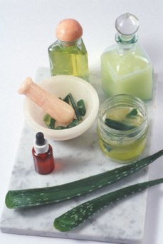 aloe vera skin care