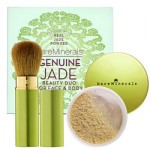 Shimmer Powders To Cover Every Curve On Your Face!