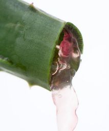aloe vera gel