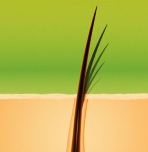 Biotin for Hair Growth