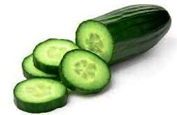 Cucumber