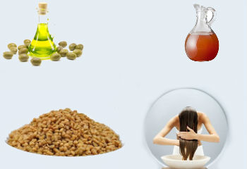 Hair Breakage Treatment Home Remedies
