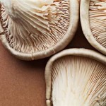 The Truth About Anti Aging Therapy