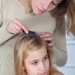 Natural Treatments For Head Lice