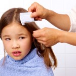 lice free hair