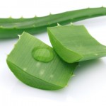 handle scalp sunburns