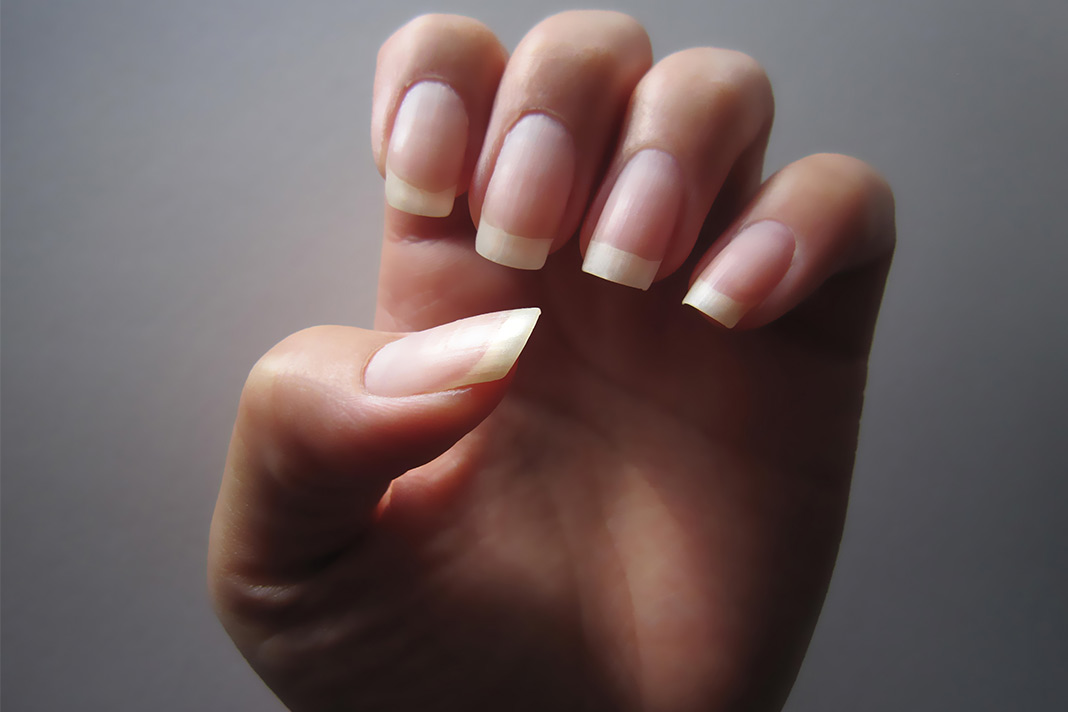 Top 10 Super foods for Healthy and Long Nails